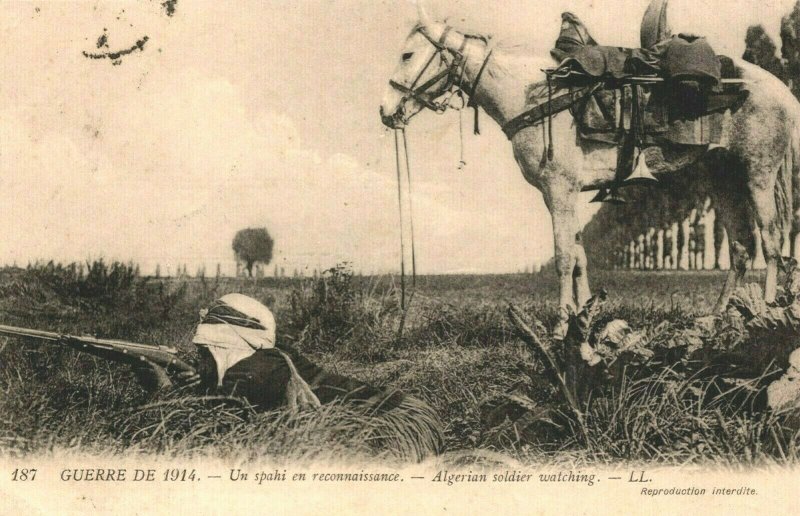 World War 1 Guerre 1914 Algerian SOldier Watching Vintage Postcard 04.02