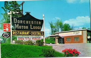 Dorchester Motor Lodge Poughkeepsie NY Route 9 Vintage Postcard Q23