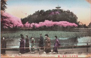 Cherry Blossoms Sankeien Hommoku Yokohama Vintage Postcard C205