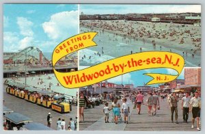 GREETINGS FROM WILDWOOD BY THE SEA NJ*HUNT'S PIER*BEACH BOARDWALK ROLLER COASTER