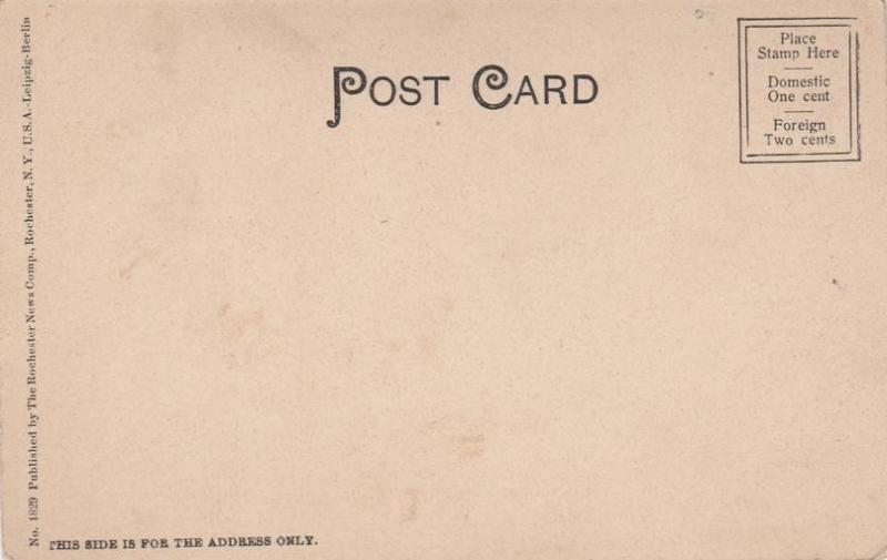 William Street at Lyons NY, New York - UDB