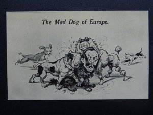 WW1 War Cartoons Series THE MAD DOG OF EUROPE c1914 Postcard Bamforth 5011