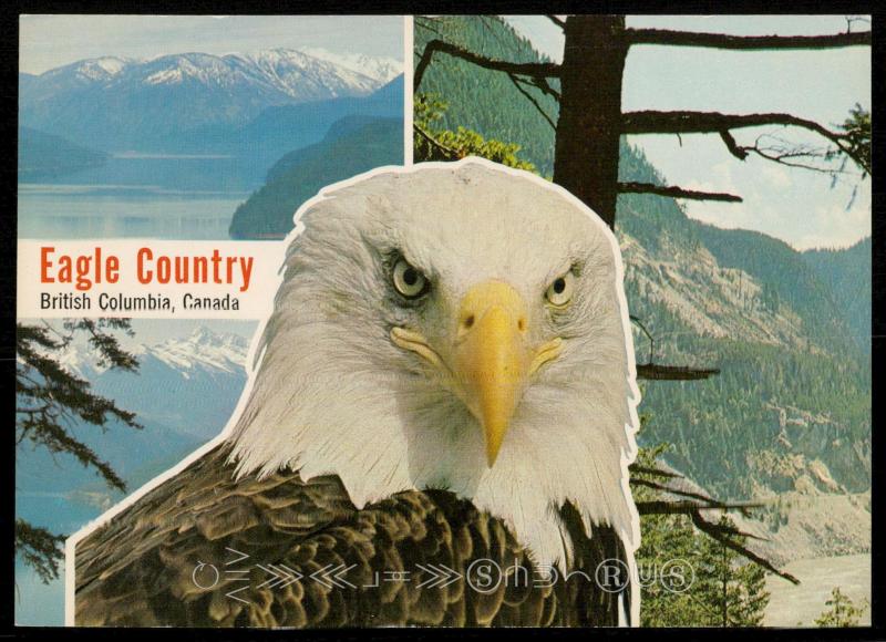 Eagle Country - British Columbia