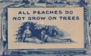 ALL PEACHES DO NOT GROW ON TREES~UNIQUE BORDER-TENNIS-BOATS-RAILROAD ROMANCE PCD