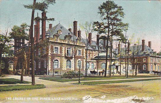 Laurel In The Pines Lakewood New Jersey Rotograph 1907