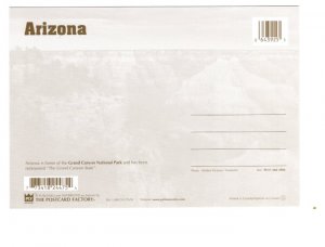 Large 5 X 7 inch, Grand Canyon National Park, Arizona, Postcard