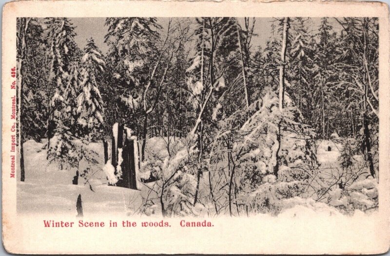 Canada Winter Scene in the Woods Canada Vintage Postcard 09.47