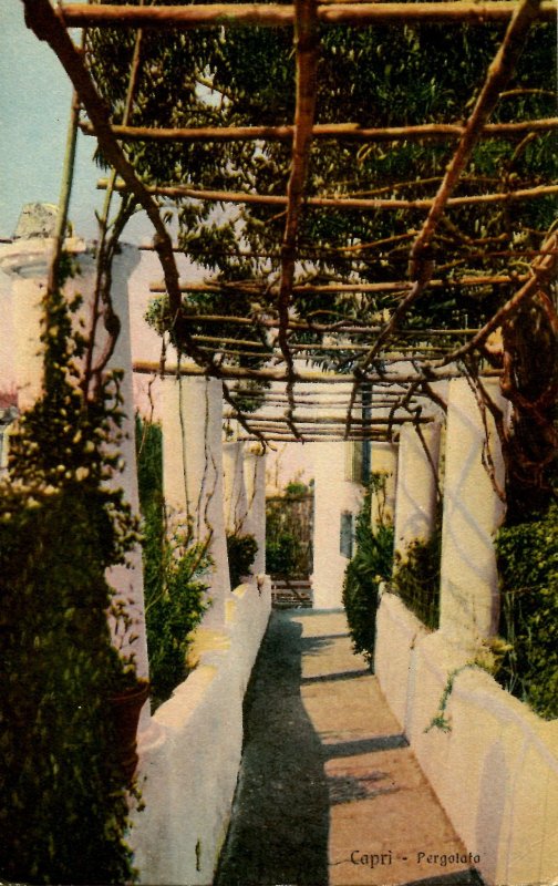 Italy - Capri. Pergola