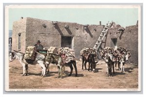 New Mexico Wood Train Fred Harvey Postcard