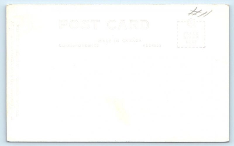 RPPC The Throne View Point Jasper National Park CANADA Johnston Postcard