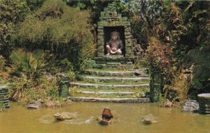 Postcard Cambodian Shrine Disneyland California