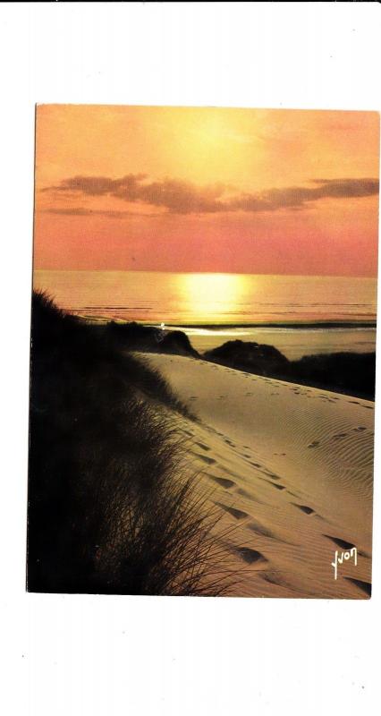 BF16461 coucher de soleil dans les dunes france front/back image