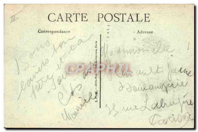 Old Postcard Lion Jardin des Plantes