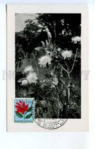 420428 RUANDA URUNDI 1958 year flower exhibition pavilion maximum card