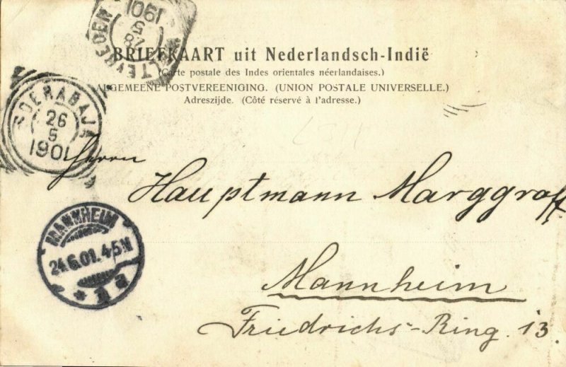 indonesia, MOLUCCAS MALUKU, Multiview, Buitenbaai, Olifantstraat (1901) Postcard