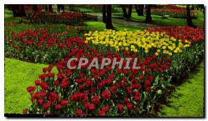 Modern Postcard Holland Land of Flowers