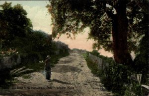Provincetown Cape Cod MA Road to the Monument c1910 Postcard