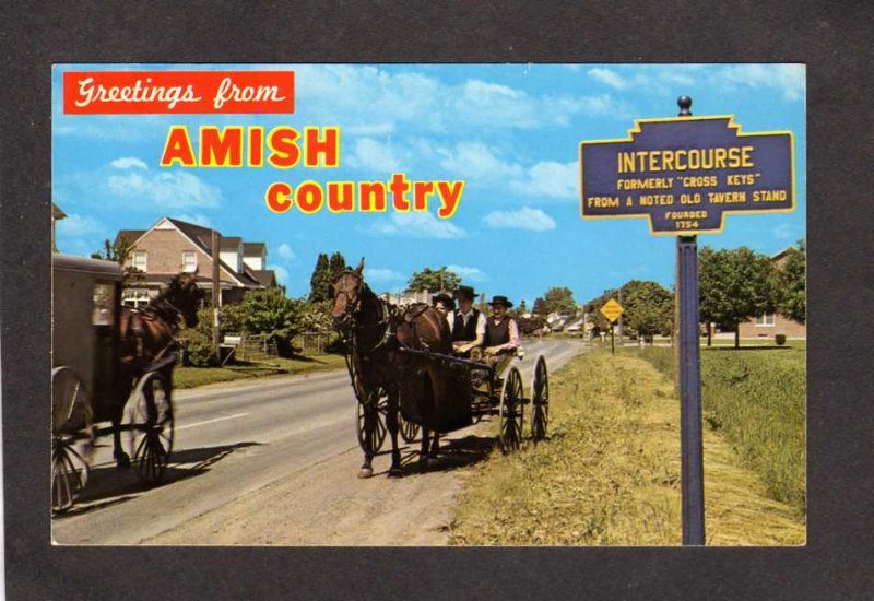 PA Greetings From Amish Country Intercourse Pennsylvania Postcard Horse Buggy