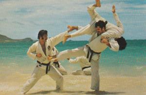 Hawaii Mr Chuzo Kotaka International Karate Federation