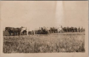 Cando North Dakota RPPC Farming Three Five Horse Team Plowing Outfit Postcard X5
