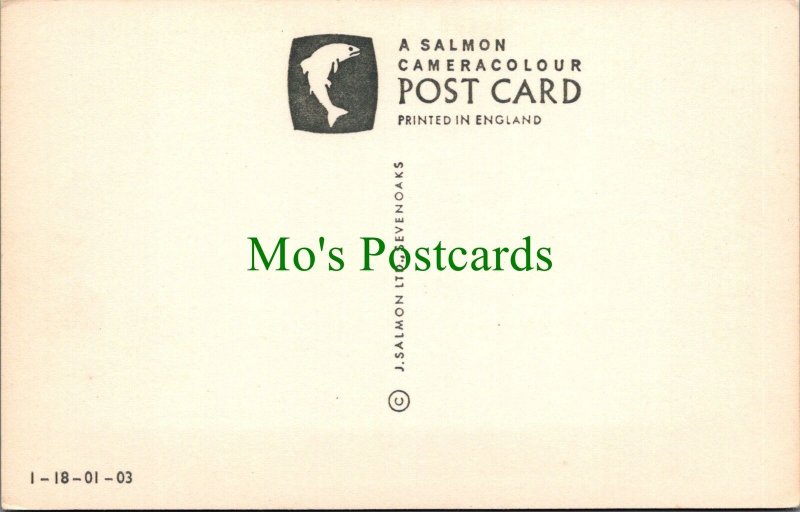 Cheshire Postcard - Chester, The Cross   RS33505