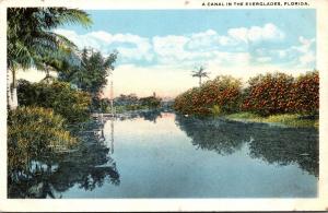 Florida Canal Scene In The Everglades