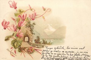 Litho postcard 1900 flowers & landscape fantasy Axenstrasse Switzerland scenic