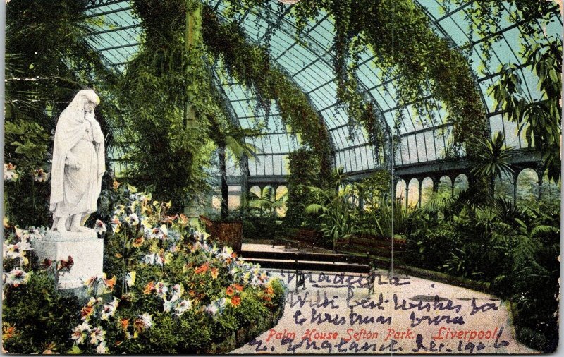 Inside Palm House Sefton Park Liverpool Flowers Plants Trees Postcard WOB PM 