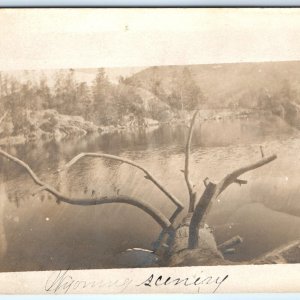 c1910s Wyoming Fayette Lake RPPC Outdoor Scenery Real Photo Postcard Tree A99