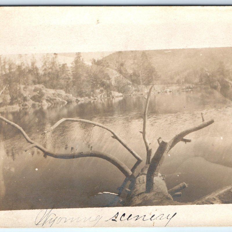 c1910s Wyoming Fayette Lake RPPC Outdoor Scenery Real Photo Postcard Tree A99