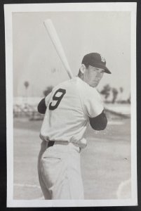 Mint USA Real Picture Postcard Baseball Player Ted Williams Boston Red Sox