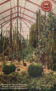 Vintage Postcard 1910'S Magnificent Cactus Display Schenley Park Pittsburgh PA
