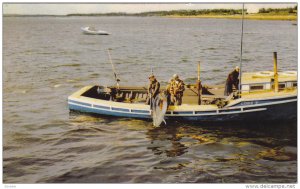 Tuna Fishing, WEDGEPORT, Nova Scotia, Canada, 40-60´