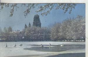 Postal (PostCard): Gerona: Puigcerda: lago..