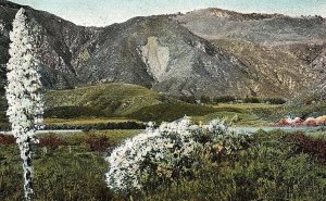 C.1900-06 Arrowhead Mt., San Bernardino, CA Postcard P122