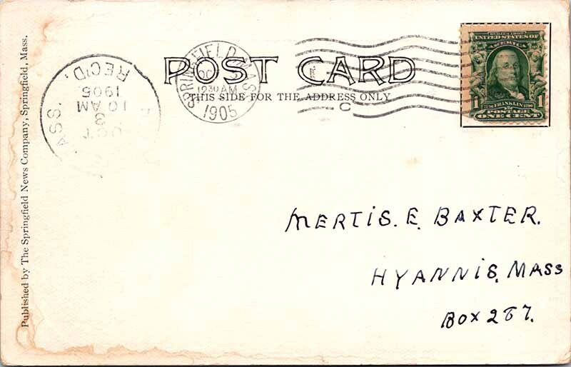 Postcard ANIMAL SCENE Springfield Illinois IL AL4634