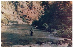 Fishermans Paradise Bitter Root River South Of Missoula Montana Fishing Postcard