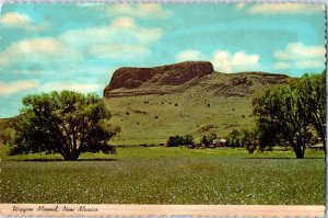 Wagon Mound New Mexico Postcard