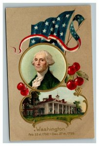 Vintage 1910's Winsch Postcard George Washington Portrait Cherries Flag NICE