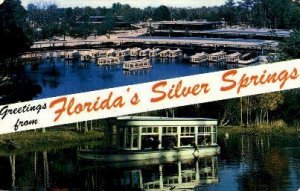 Glass Bottom Boats - Silver Springs, Florida FL