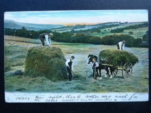 Country Rural Life IN THE HAYFIELD c1904 Postcard by Raphael Tuck 1421