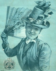 1880's Andes Stove Four Hole Range C.M. Jones Ripley NY Victorian Trade Card P30