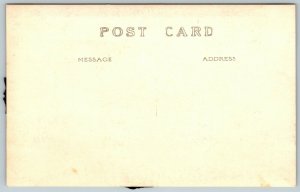RPPC Roosevelt Dam, Arizona - Postcard 