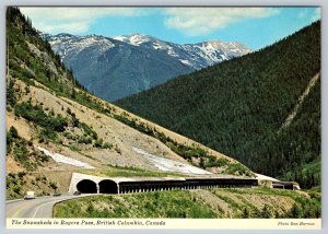 Snowsheds In Rogers Pass, British Columbia, Canada, Chrome Postcard