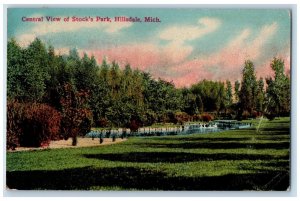 1921 Central View of Stock's Park Hillsdale Michigan MI Antique Postcard