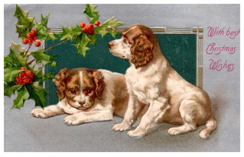 Dog , Terrier Best Christmas