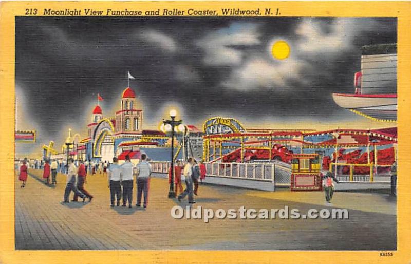 Moonlight View Funhouse and Roller Coaster Wildwood, New Jersey, NJ, USA 1955 