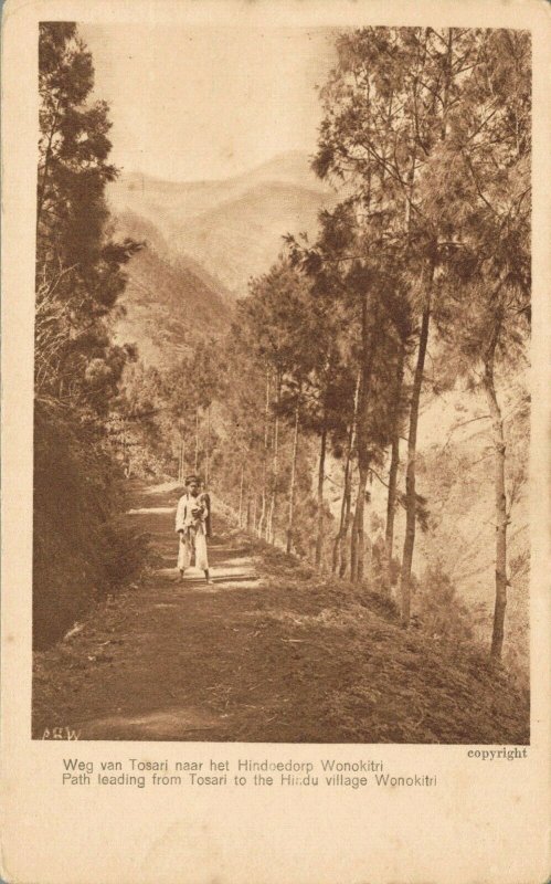 Indonesia - Path Leading from Tosari to the Hindu village Wonokitri 04.53 