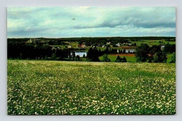 Cardigan Canada Prince Edward Island Bird's Eye View Postcard