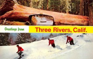 THREE RIVERS, CA Mineral King Area Skiing Tulare Co. c1960s Vintage Postcard